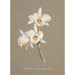 Sammlung von Orchideen Pl66 - Anonym — Ansicht des Kunstwerks