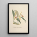 Reproduktion des Gemäldes Sammlung von Orchideen Pl69 - Anonym
