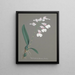 Sammlung von Orchideen Pl79 - Anonym — gerahmtes Bild an der Wand