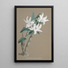 Reproduktion des Gemäldes Sammlung von Orchideen Pl89 - Anonym