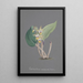 Reproduktion des Gemäldes Sammlung von Orchideen Pl91 - Anonym