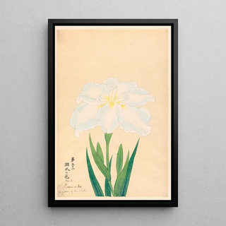 Anonymous - Color of the Lake Kosui no Iro.webp