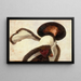 Frau mit Schal - Anonym — gerahmtes Bild an der Wand