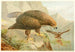 Adler König - Anonym — Ansicht des Kunstwerks