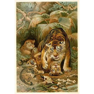 Anonymous - Tigress and Cubs.webp