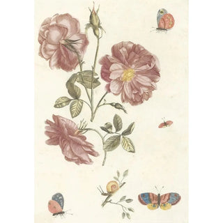 Anonymous - Twee takken met rozen vier vlinders en een slak.webp