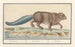 Castor und Castor - Anselmus Botius de Boodt — Ansicht des Kunstwerks