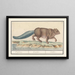 Castor und Castor - Anselmus Botius de Boodt — gerahmtes Bild an der Wand