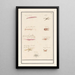 Blatt mit neun Krebstieren und Muscheln - Anselmus Botius de Boodt — gerahmtes Bild an der Wand