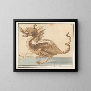 Anselmus Botius de Boodt - Draak Dracke Draco Dragon.webp