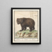 Bière bruine européenne Ursus artos Bearus Beir ursus Ours - Anselmus Botius de Boodt — gerahmtes Bild an der Wand