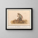 Suricate grün Chlorocebus sabaeus Callitrix Callitriche - Anselmus Botius de Boodt — gerahmtes Bild an der Wand