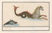 Hippocampe und andere fantastische Tiere 1 Seepferdchen 2 Brauner Fisch - Anselmus Botius de Boodt — Ansicht des Kunstwerks