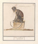 Suricate Cercopithecini Cerco pithecus prasianus - Anselmus Botius de Boodt — Ansicht des Kunstwerks