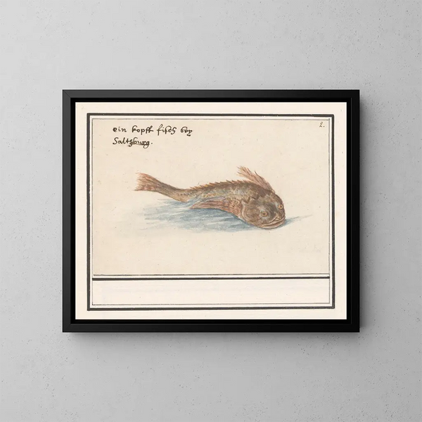 unbekannter Fisch - Anselmus Botius de Boodt — gerahmtes Bild an der Wand