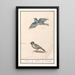 Reproduktion des Gemäldes Blaumeise Cyanistes caeruleus und Kohlmeise Parus major - Anselmus Botius de Boodt