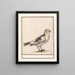 Sneeuwgors Plectrophenax nivalis - Anselmus Botius de Boodt — gerahmtes Bild an der Wand