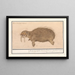 Morse Odobenus rosmarus Rosmarcus elephas Marinus Morse Éléphant marin - Anselmus Botius de Boodt — gerahmtes Bild an der Wand