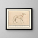 Windhund - Anselmus Botius de Boodt — gerahmtes Bild an der Wand