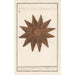 Reproduktion des Gemäldes Seestern Asteroidea Seestern Stella Marina Seestern - Anselmus Botius de Boodt