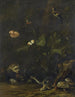 Tiere und Pflanzen - Anthonie van Borssom — Ansicht des Kunstwerks