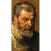 Tête d'homme barbu - Antoine van Dyck — Ansicht des Kunstwerks
