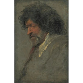 Anthony van Dyck - Head study of a man.webp