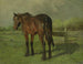 Pferd - Anton Mauve — Ansicht des Kunstwerks