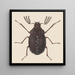 Aquarell der Entomologie Pl058 - George Hudson — gerahmtes Bild an der Wand