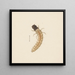 Aquarell der Entomologie Pl083 - George Hudson — gerahmtes Bild an der Wand