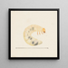 Aquarell der Entomologie Pl087 - George Hudson — gerahmtes Bild an der Wand