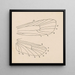 Aquarell der Entomologie Pl163 - George Hudson — gerahmtes Bild an der Wand