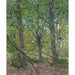 Reproduktion des Gemäldes Bäume - Vincent van Gogh