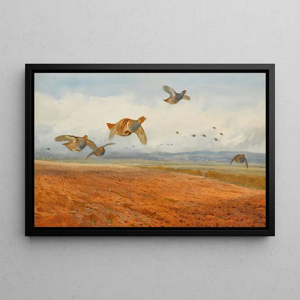 Eine Schar grauer Rebhühner im Flug - Archibald Thorburn — gerahmtes Bild an der Wand