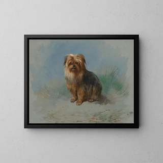 Archibald Thorburn - A Norfolk terrier.webp
