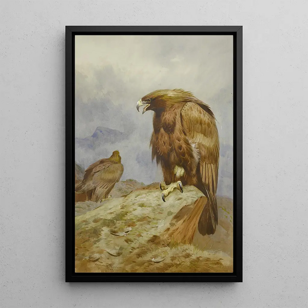 Ein Paar königlicher Adler - Archibald Thorburn — gerahmtes Bild an der Wand