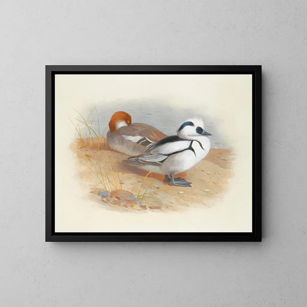 Eine Paar Harles - Archibald Thorburn — gerahmtes Bild an der Wand
