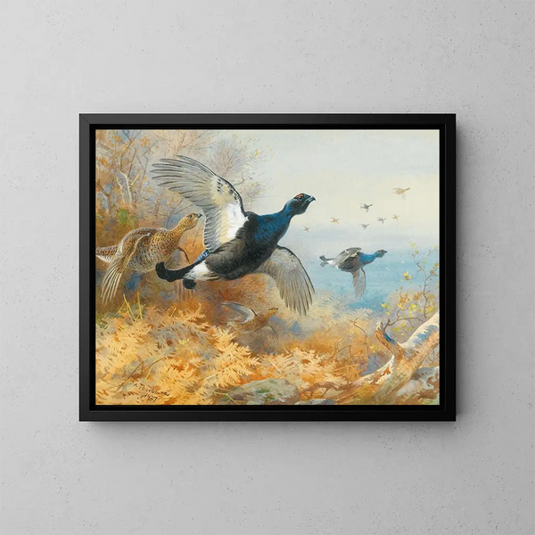 Schwarzes Huhn vor - Archibald Thorburn — gerahmtes Bild an der Wand