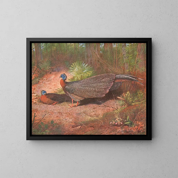 Pelikan Argus von Borneo - Archibald Thorburn — gerahmtes Bild an der Wand
