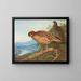Cabots tragopan - Archibald Thorburn — gerahmtes Bild an der Wand