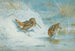 Bécassine Gelée - Archibald Thorburn — Ansicht des Kunstwerks