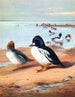 Œil d'or - Archibald Thorburn — Ansicht des Kunstwerks