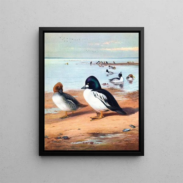 Œil d'or - Archibald Thorburn — gerahmtes Bild an der Wand