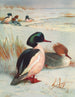 Harle Bièvre - Archibald Thorburn — Ansicht des Kunstwerks