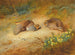 Perdrix grise - Archibald Thorburn — Ansicht des Kunstwerks