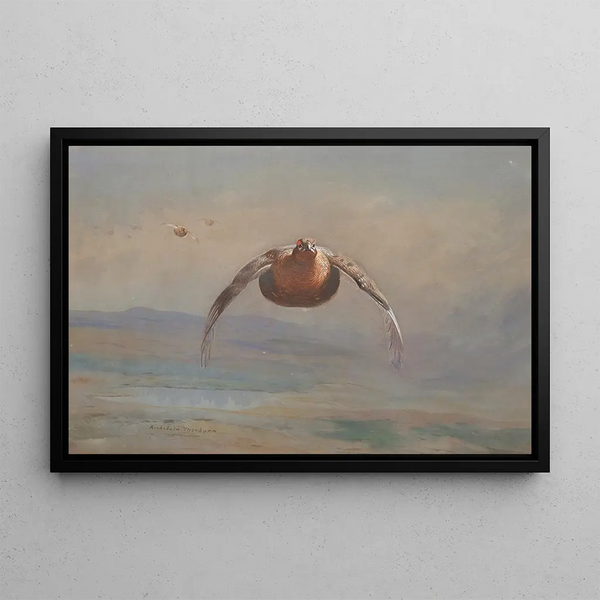 Archibald Thorburn - Grouse in flight.webp