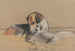 Hunde Möwe - Archibald Thorburn — Ansicht des Kunstwerks