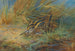 Bécassine taub - Archibald Thorburn — Ansicht des Kunstwerks