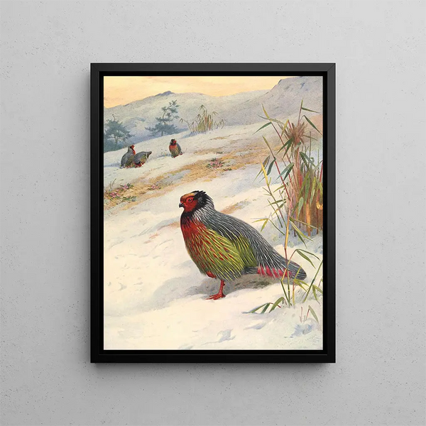 Perdrix de sang de Kusers von Archibald Thorburn — gerahmtes Bild an der Wand