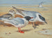 Möwen mit melanocéphale und jugendlicher mit Sandwich-Sturmtauchern an einem Strand - Archibald Thorburn — Ansicht des Kunstwerks